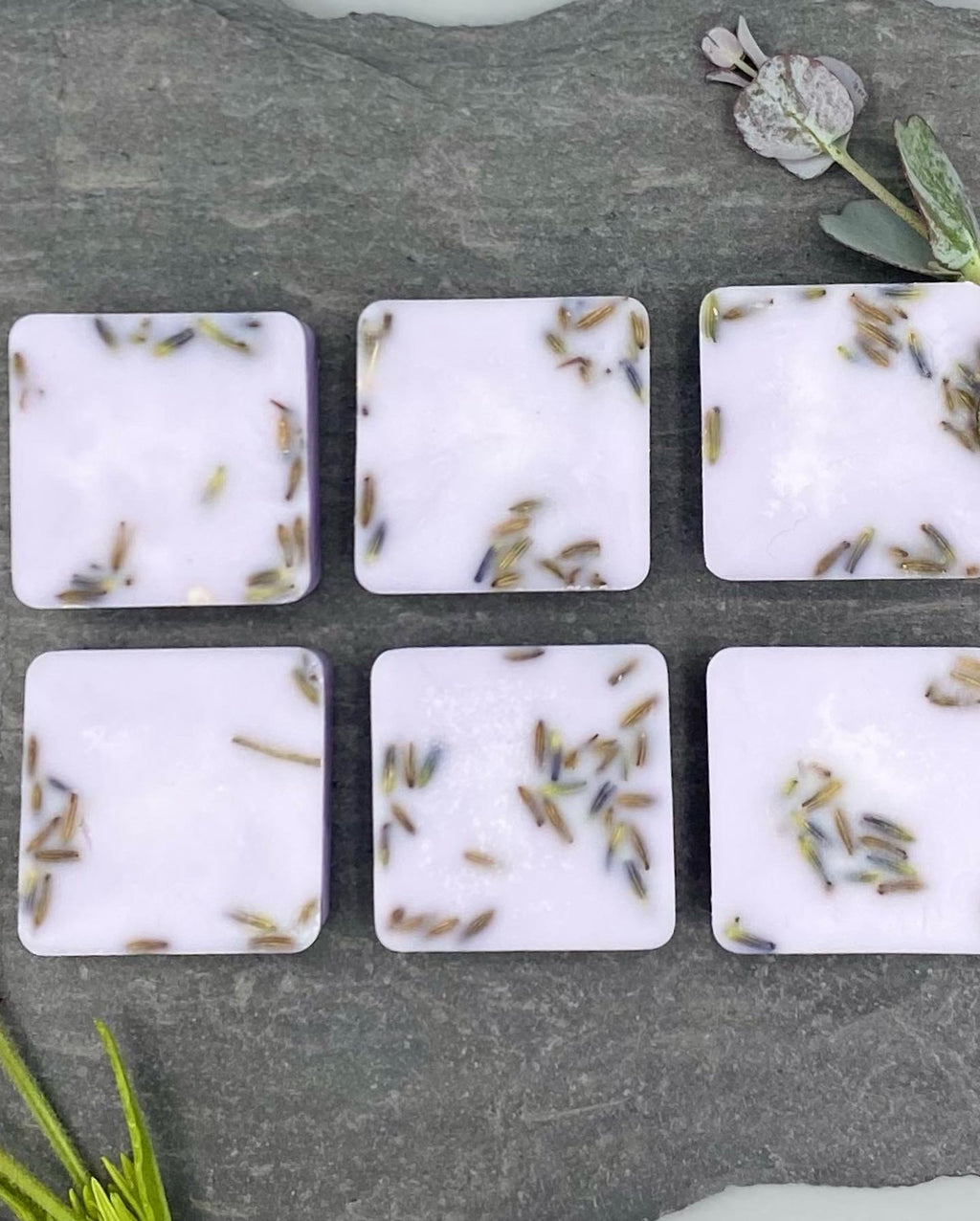 Lavender Botanicals Wax Burner & Candle Gift Box