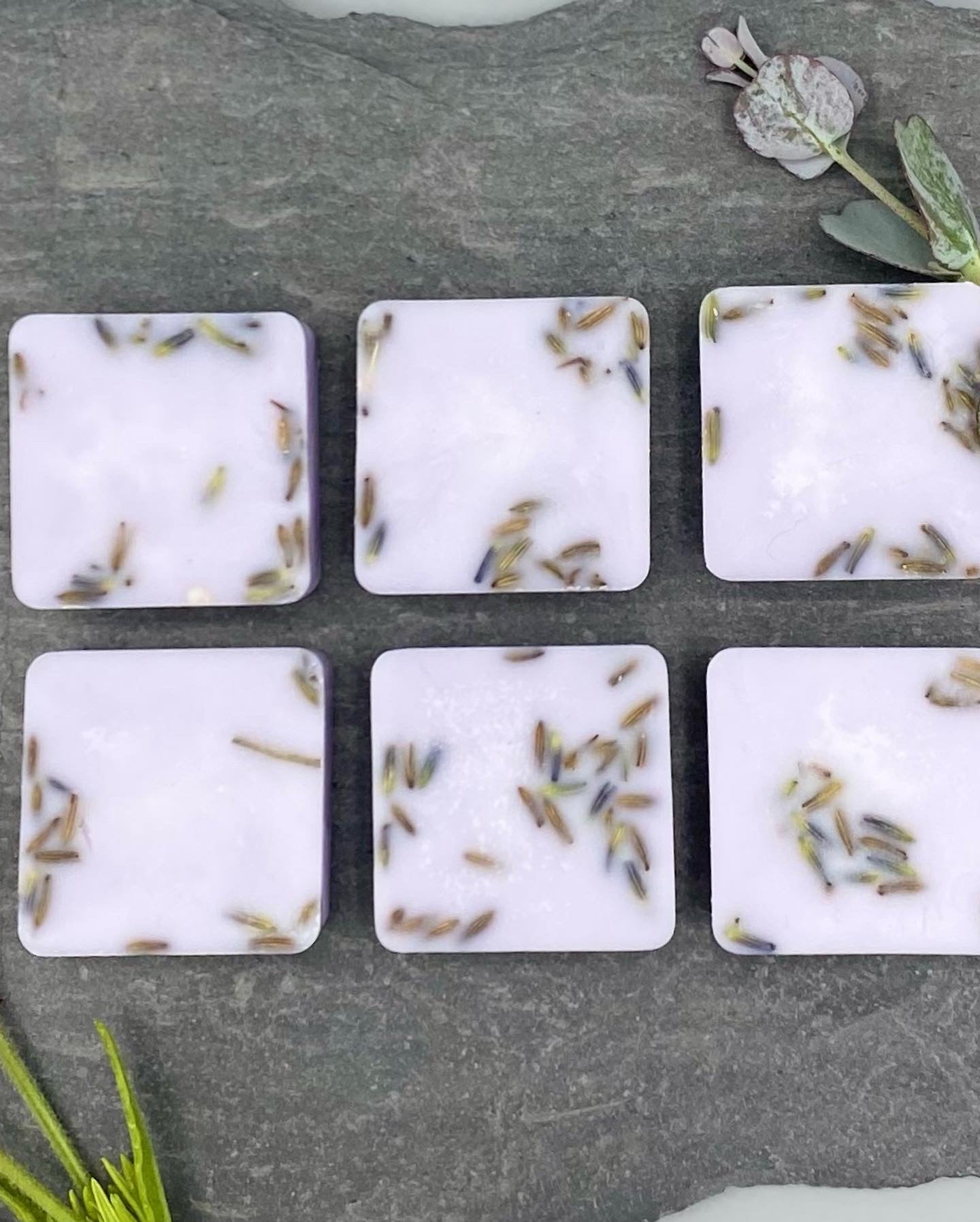 Lavender Botanicals Wax Burner & Candle Gift Box