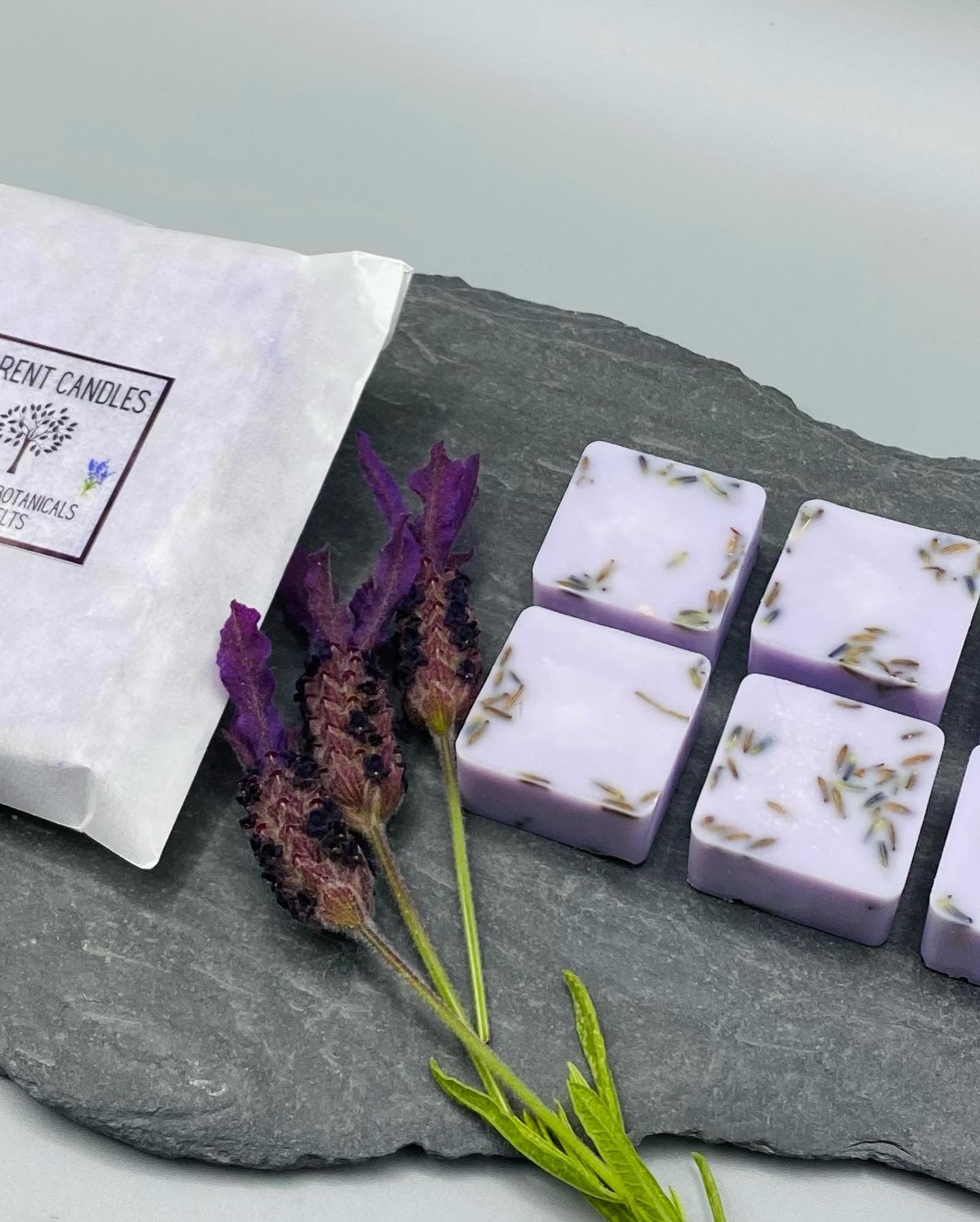 Lavender Botanicals Wax Burner & Candle Gift Box