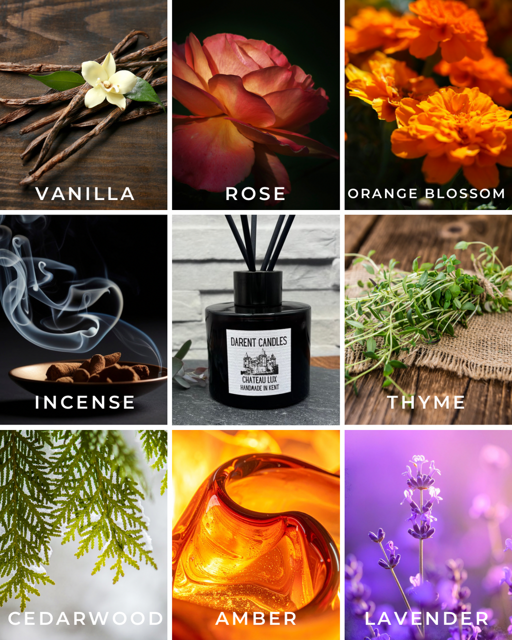 Amber Reed Diffuser - 100ml